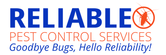 Reliable Pest Control Services